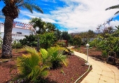 Chalet independiente con terreno en venta en la España, Icod de los Vinos, ref: TR406211 foto