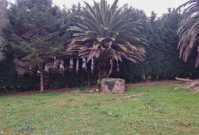 La Castañalona 5000&nbsp;m² 