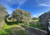 Terreno no urbanizable en venta en la España, Ciutadella de Menorca, ref: TR381714 foto