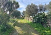 Terreno no urbanizable en venta en la España, Ciutadella de Menorca, ref: TR381714 foto