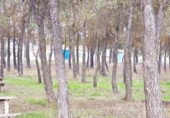 Chalet independiente con terreno en venta en la España, Arenas del Rey, ref: TR374038 foto