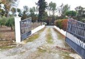 Chalet independiente con terreno en venta en la España, Arenas del Rey, ref: TR374038 foto