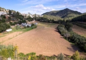 Chalet independiente con terreno en venta en la España, Olivella, ref: TR278214 foto
