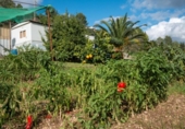 Chalet independiente con terreno en venta en la España, Olivella, ref: TR278214 foto