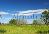Parcela urbanizable en venta en la España, Petra, ref: TR116494 foto