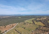 Parcela urbanizable en venta en la España, Petra, ref: TR116494 foto