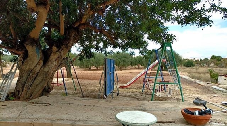 Alicante - Sant Vicent del Raspeig - 14000m2