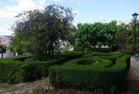 Foto 14