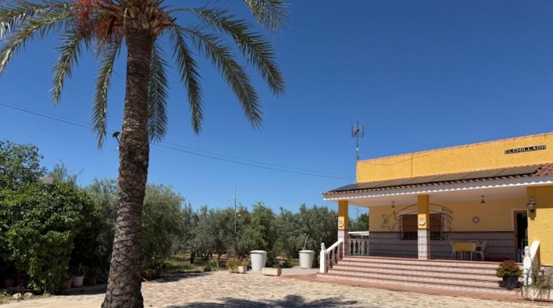 Alicante - San Vicente del Raspeig - 15000m2