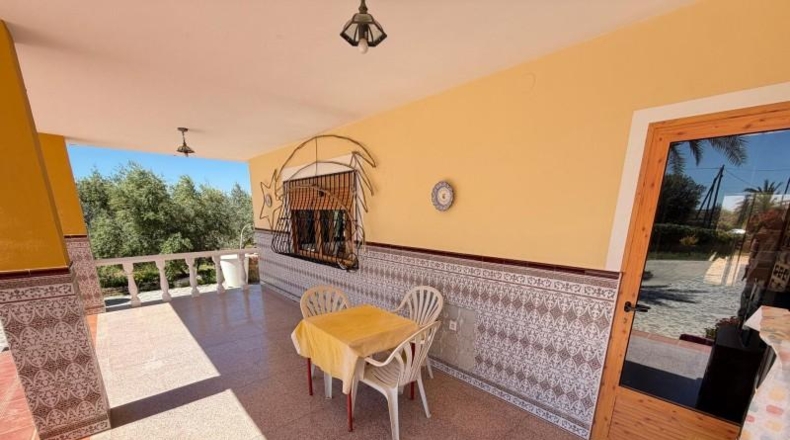 Alicante - San Vicente del Raspeig - 15000m2