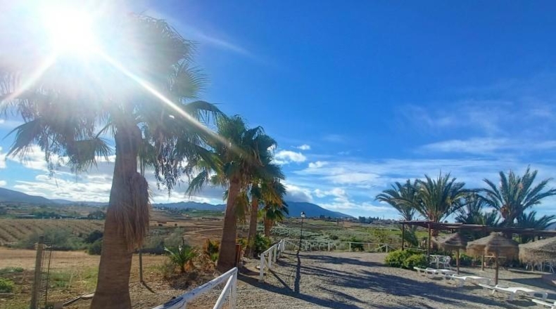 Málaga - Alhaurín el Grande - 22000m2