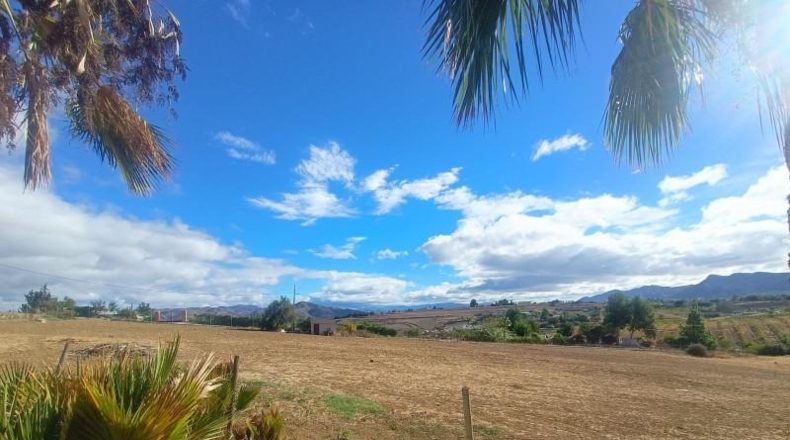 Málaga - Alhaurín el Grande - 22000m2