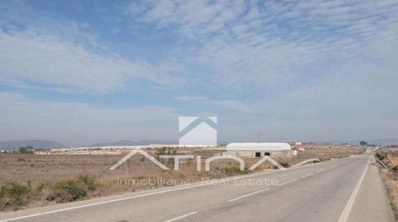 València - Bèlgida - 37000m2