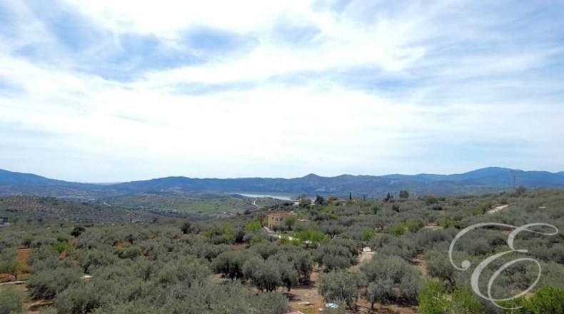 Málaga - Periana - 24834m2