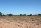 Terreno no urbanizable en venta en la España, Cala Santanyí, ref: TR386536 foto