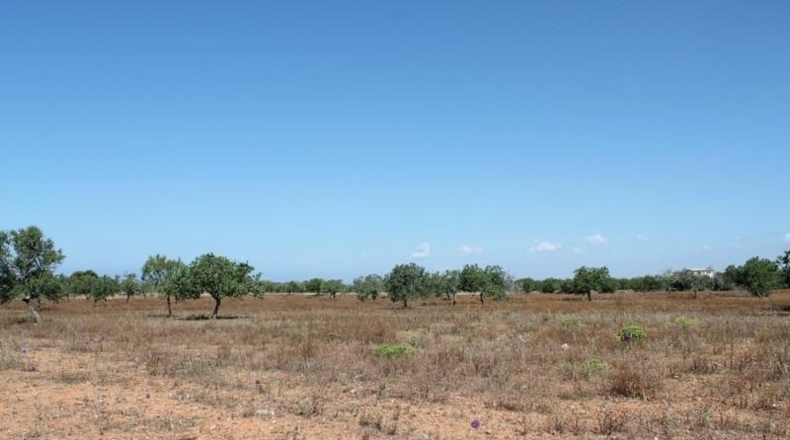 Balearic Islands - Сантаньи - 150000m2