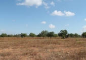 Terreno no urbanizable en venta en la España, Cala Santanyí, ref: TR386536 foto