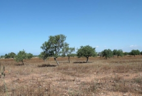 Cala Santanyí 150000&nbsp;m²