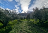 Chalet independiente con terreno en venta en la España, Órgiva, ref: TR400855 foto