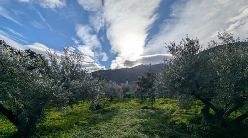 Granada - Órgiva - 6285m2