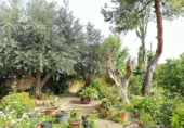 Chalet independiente con terreno en venta en la España, Daimús, ref: TR402730 foto