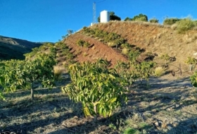 Foto 12