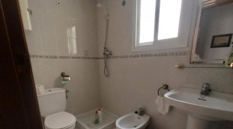Alicante - San Vicente del Raspeig - 374m2