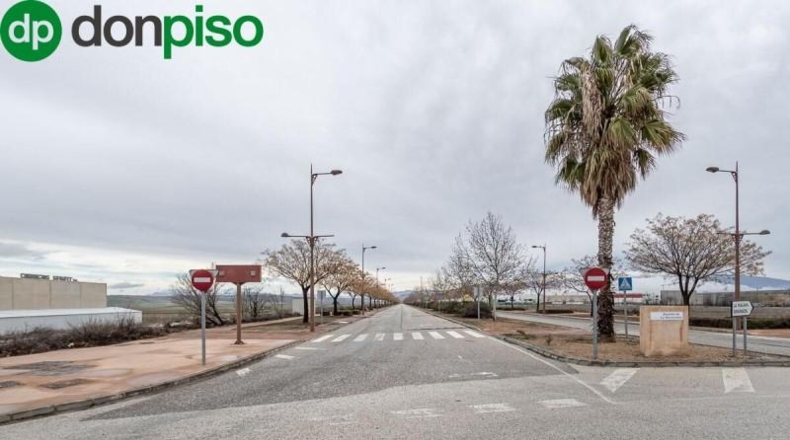 Granada - Escúzar - 6524m2