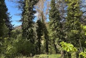 Cercedilla 3637&nbsp;м²