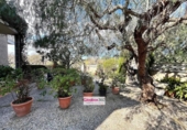 Detached villa with land for sale on España, Reus, ref: TR368743 photo