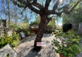Detached villa with land for sale on España, Reus, ref: TR368743 photo