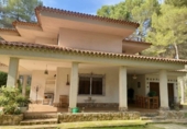 Chalet independiente con terreno en venta en la España, Albacete, ref: TR364954 foto