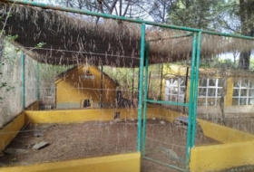 Foto 12
