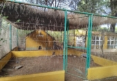 Chalet independiente con terreno en venta en la España, Albacete, ref: TR364954 foto