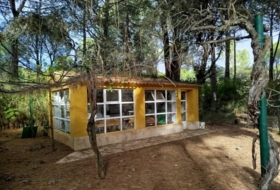 Foto 11