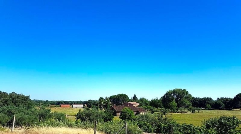 Avila - Candeleda - 45000m2