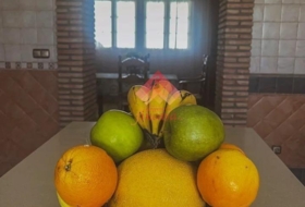 Foto 8