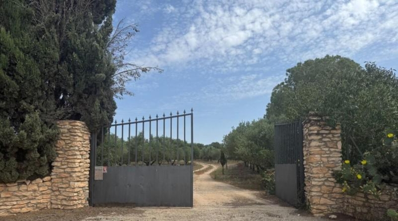 Tarragona - Santa Oliva - 21219m2