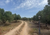 Casa de campo con terreno en venta en la España, Santa Oliva, ref: TR400103 foto
