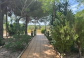 Casa de campo con terreno en venta en la España, Santa Oliva, ref: TR400103 foto