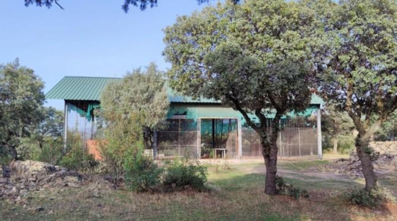 Comunidad de Madrid - Galapagar - 20000m2