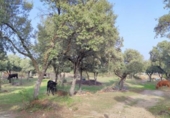 Granja en venda a la España, Galapagar, ref.: TR304533 foto