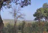 Granja en venda a la España, Galapagar, ref.: TR304533 foto