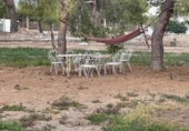 Finca rústica en venta en la España, San Vicente del Raspeig, ref: TR393910 foto