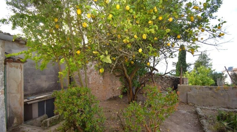 Islas Baleares - Llubí - 272m2