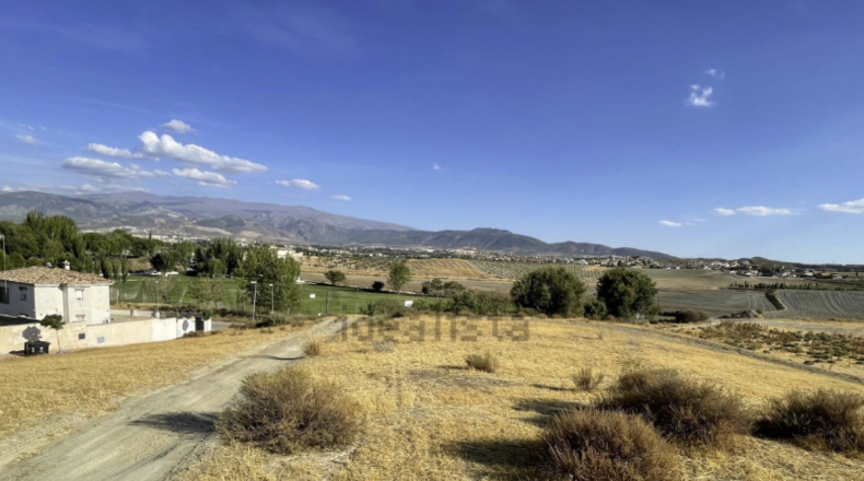 Granada - Pedro Verde - 25000m2