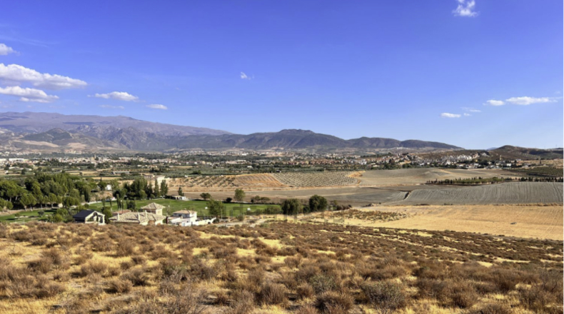 Granada - Pedro Verde - 25000m2