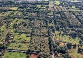 Casa de campo con terreno en venta en la España, Llubí, ref: TR359218 foto