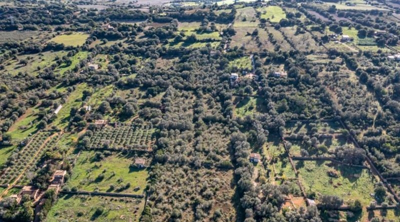 Balearic Islands - Llubí - 100m2