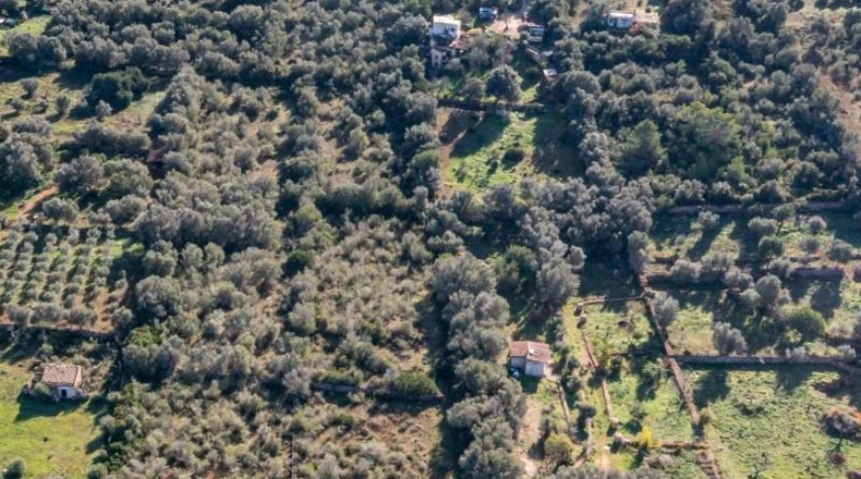 Balearic Islands - Llubí - 100m2